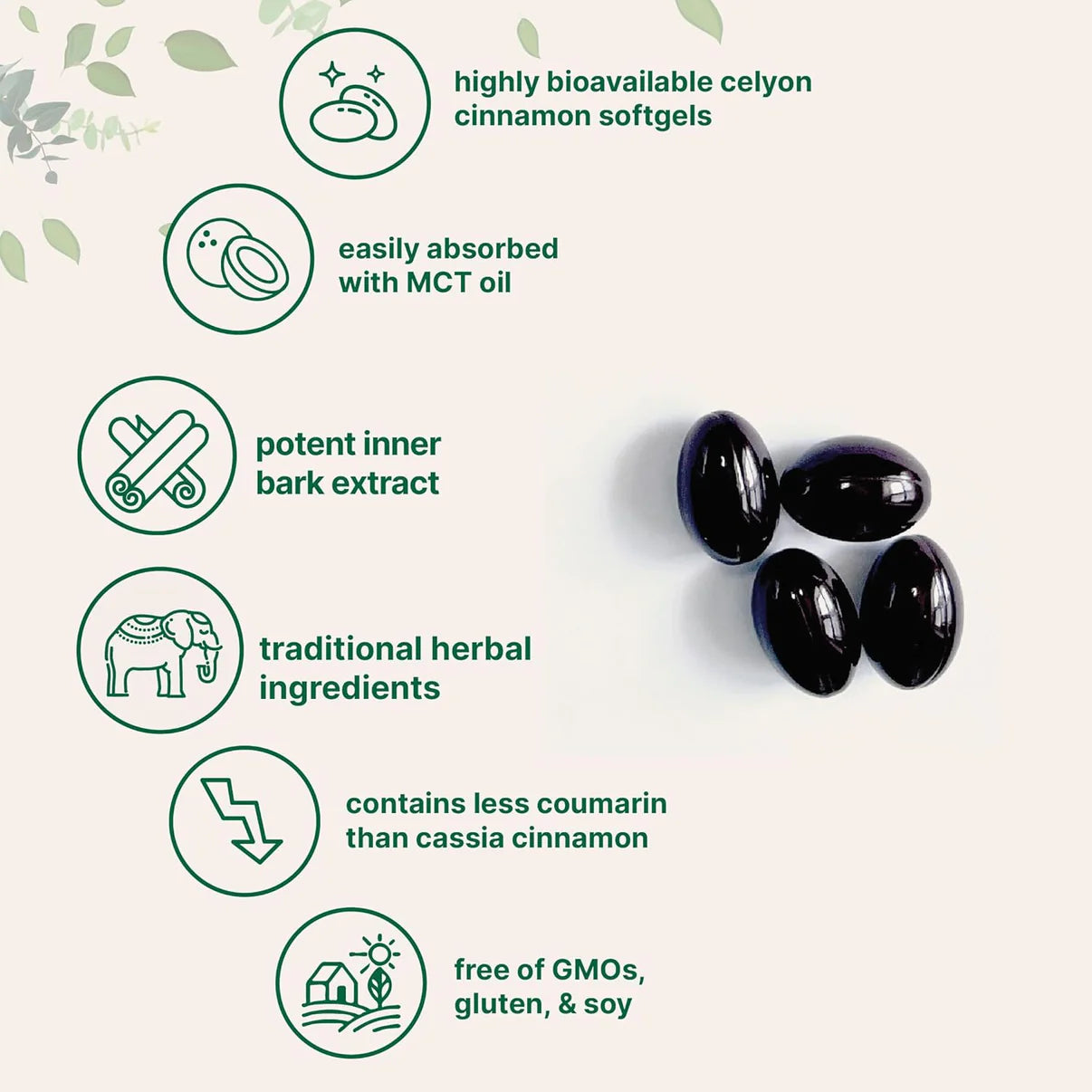 Aged Garlic Extract – 7500mg color